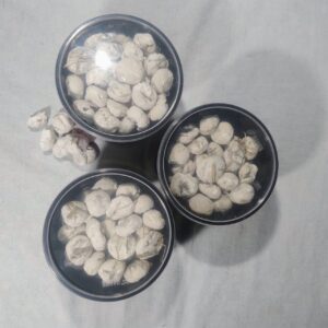 3 x 250 g = 750 g - Ranu Herbal Yeast Ball | Premium Traditional Fermentation Starter