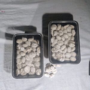 2x400 g – Ranu Herbal Yeast Ball | Premium Traditional Fermentation Starter